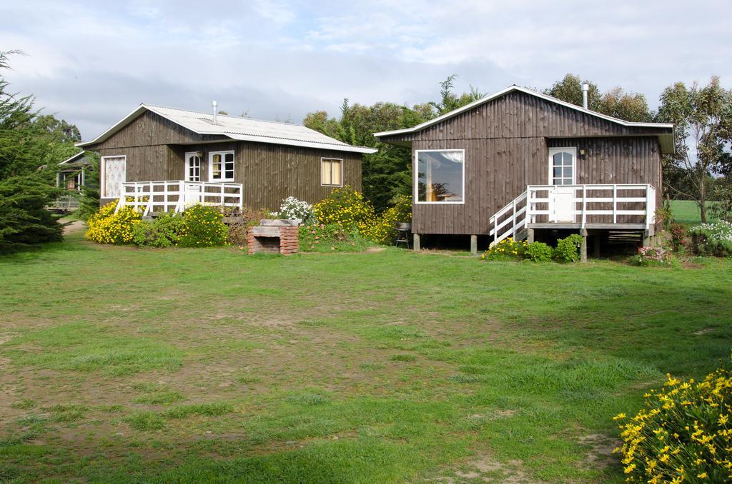 Lomita Quebrada Pichilemu