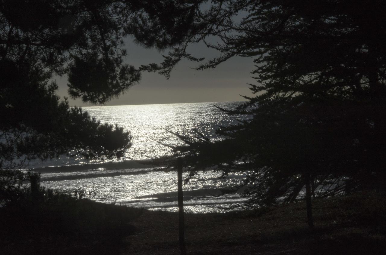 Lomita Quebrada * Pichilemu