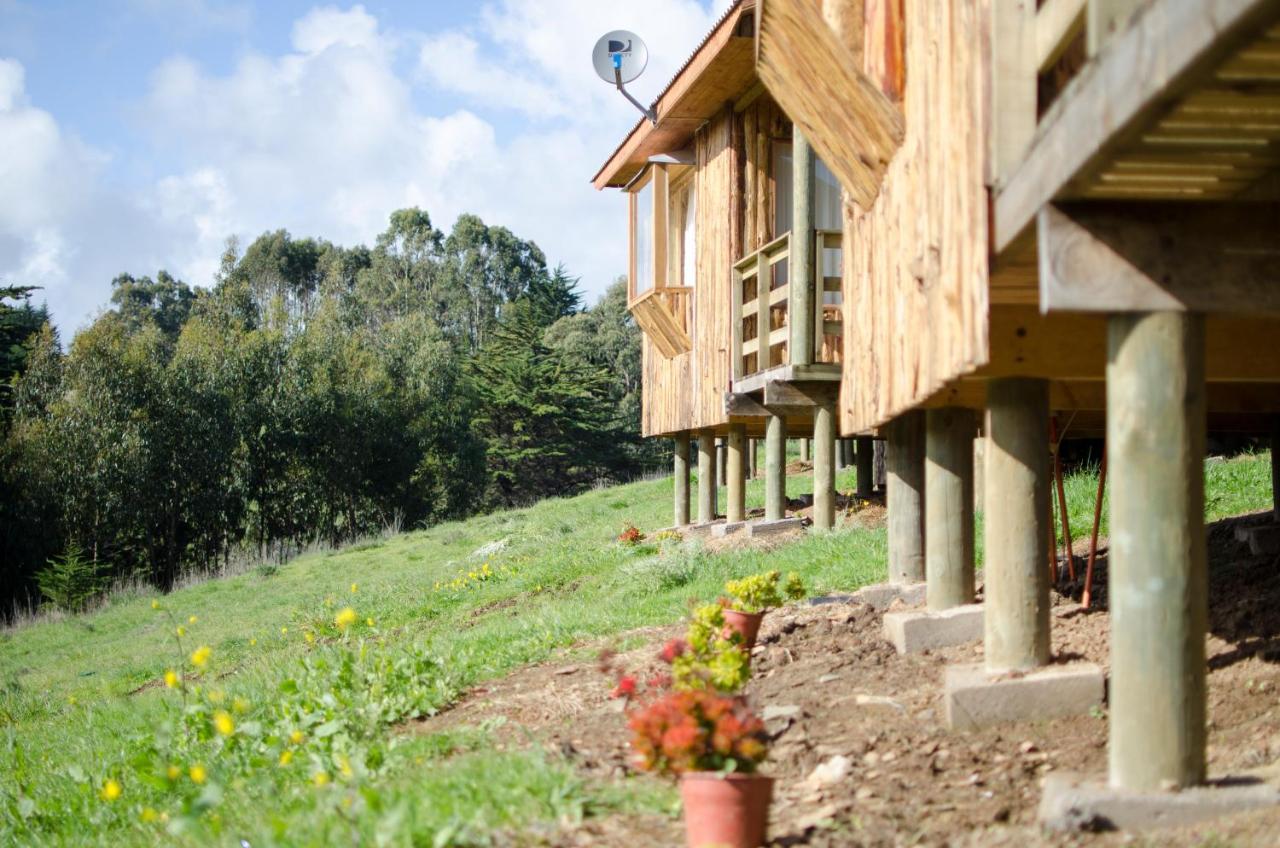 Lomita Quebrada Alojamento Pichilemu