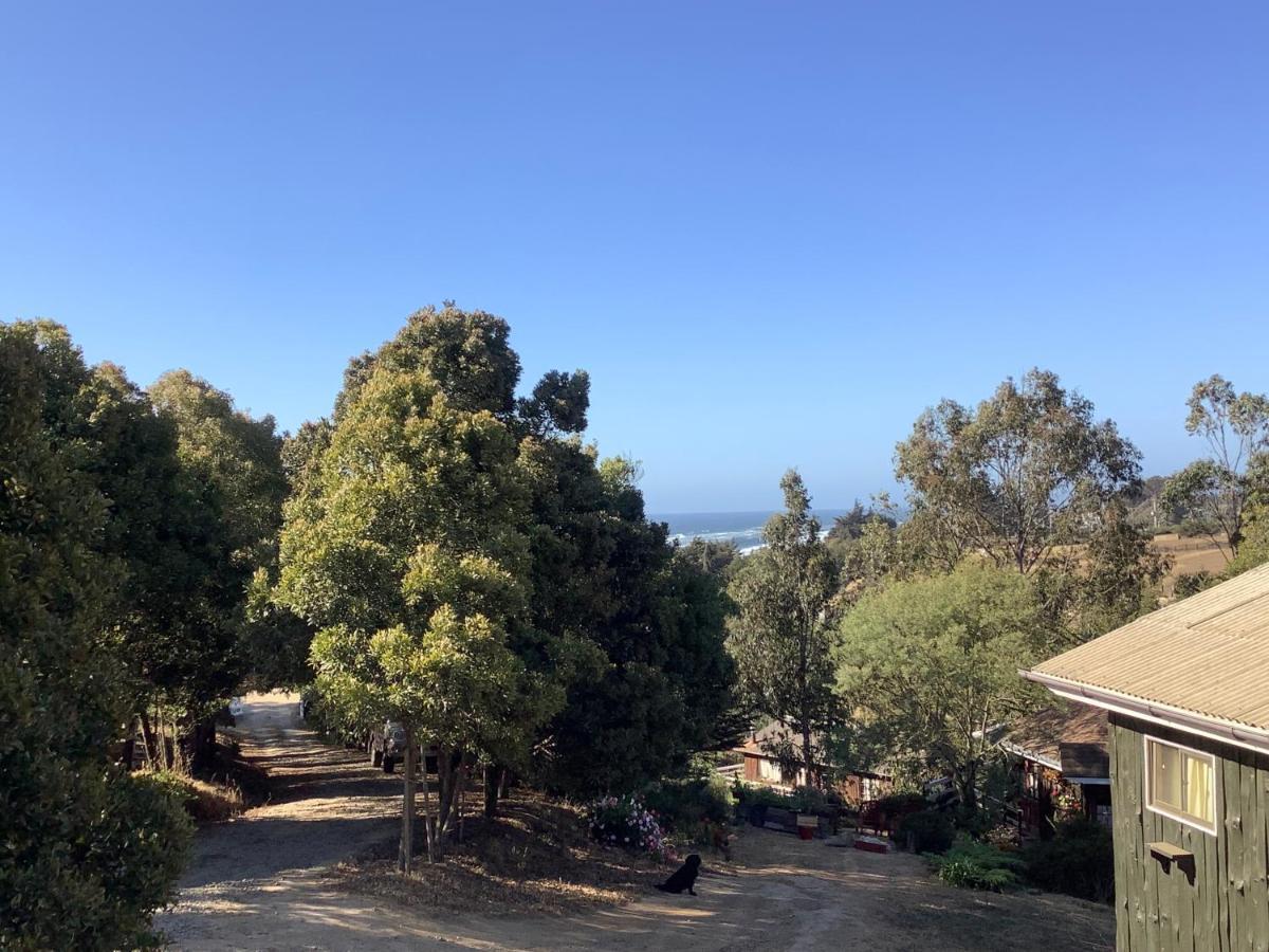 Lomita Quebrada Pichilemu